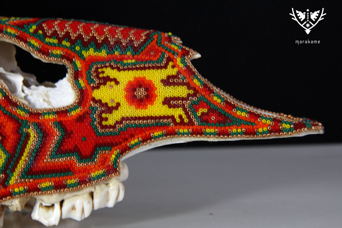 Cráneo de Venado Huichol - Xamainuri I