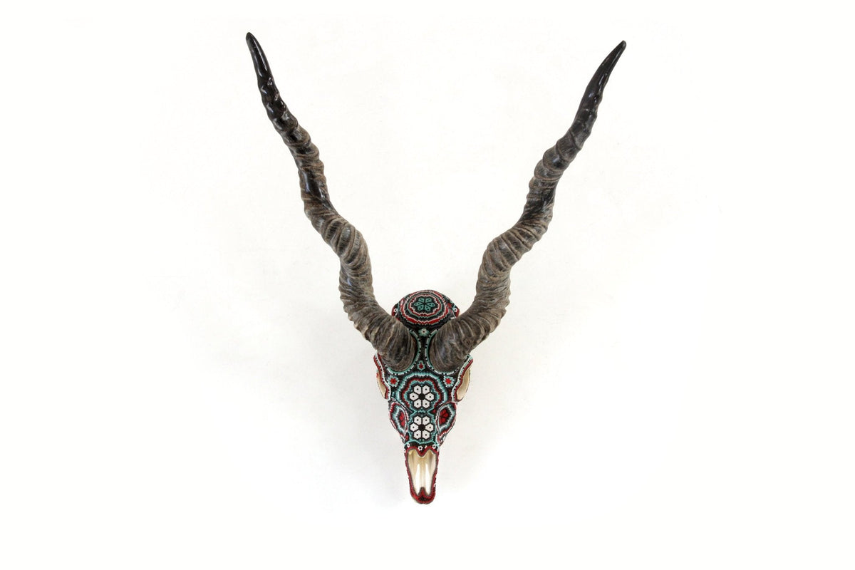 Cráneo auténtico de Blackbuck - Haramara - Arte Huichol - Marakame