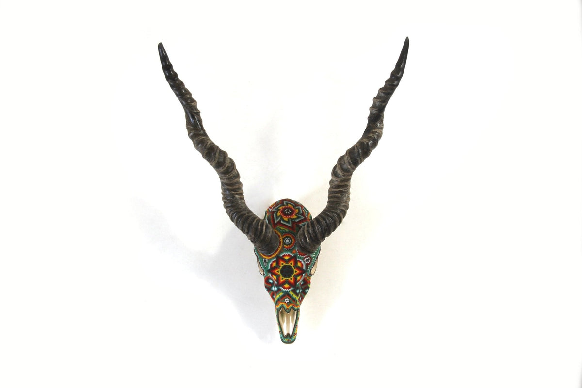 Cráneo auténtico de Blackbuck - Hikuri Neixa - Arte Huichol - Marakame