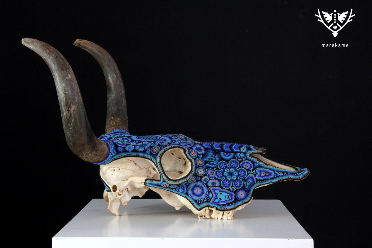 Cráneo de vaca Arte Huichol - Hayuawima - Arte Huichol - Marakame