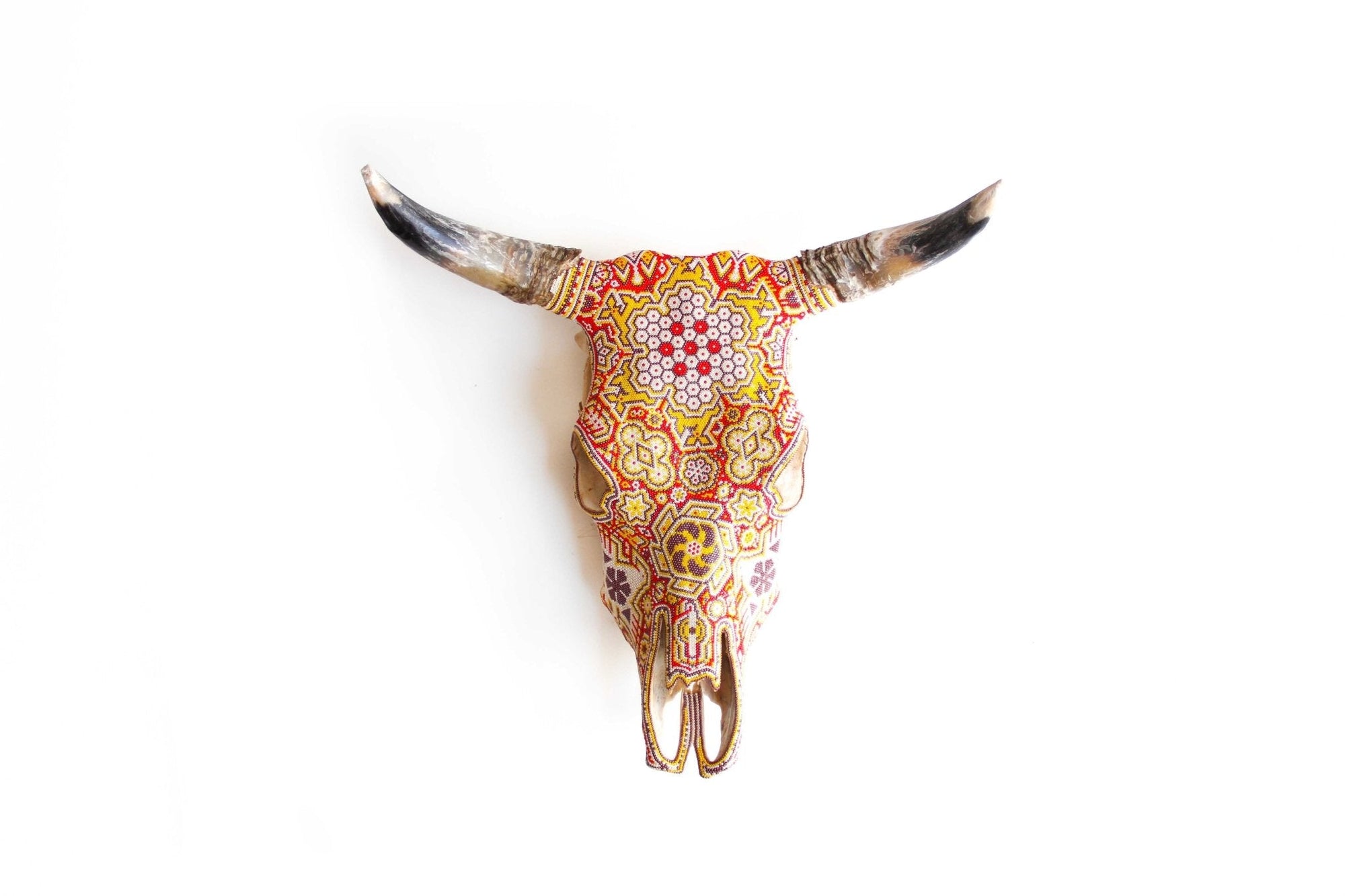 Cráneo de vaca Arte Huichol - Hikuri X - Arte Huichol - Marakame
