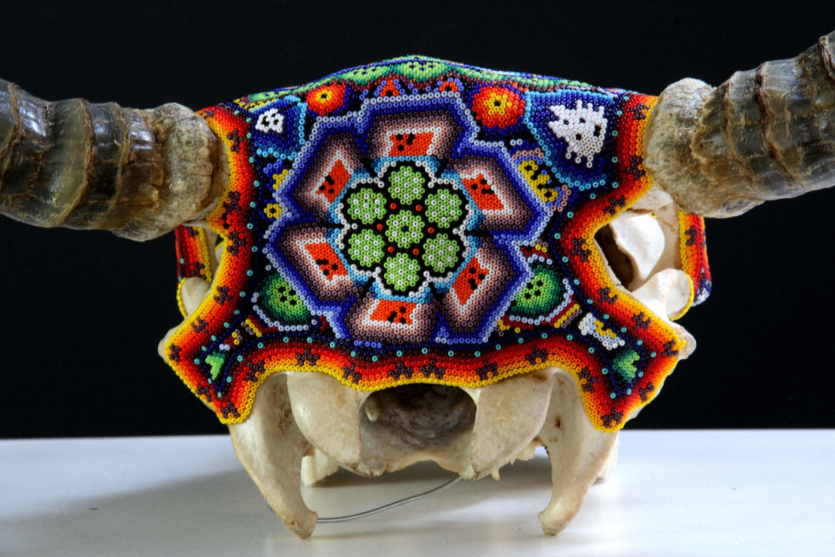 Cráneo de vaca Arte Huichol - ikú maxa - Arte Huichol - Marakame