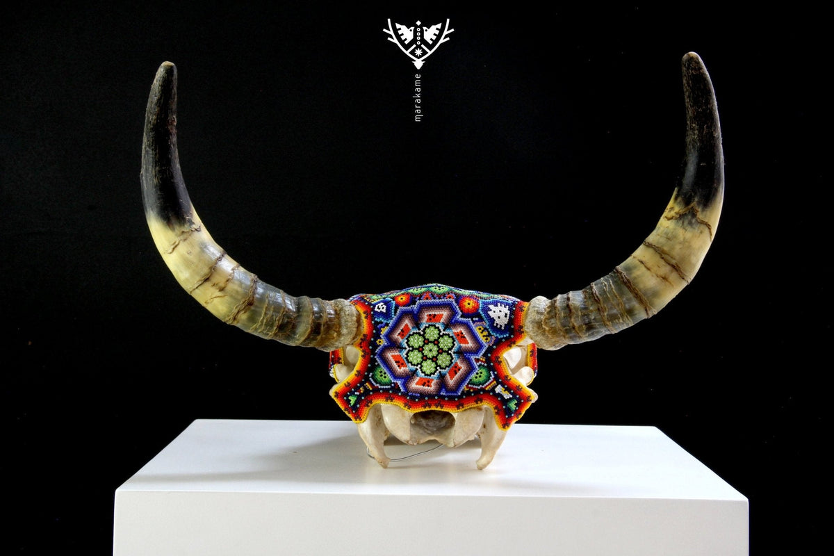 Cráneo de vaca Arte Huichol - ikú maxa - Arte Huichol - Marakame