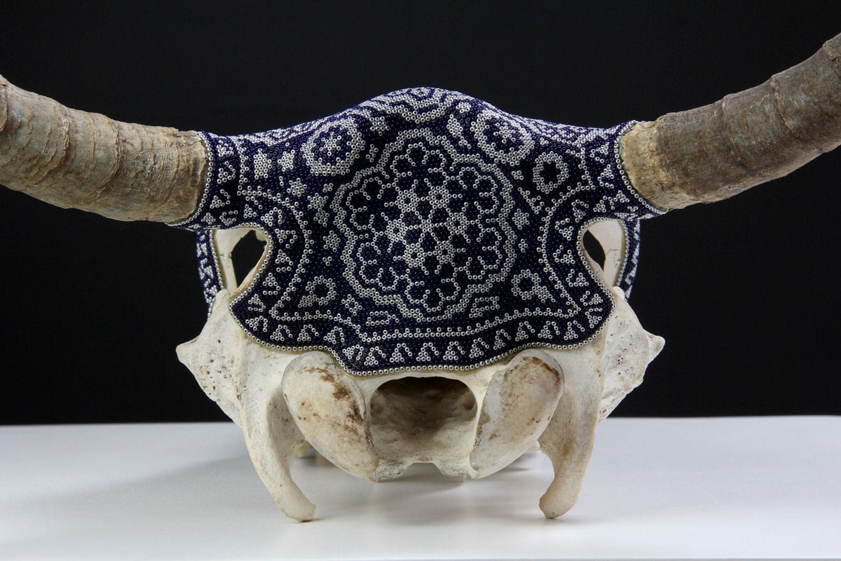 Cráneo de vaca Arte Huichol - Jícuri - Arte Huichol - Marakame