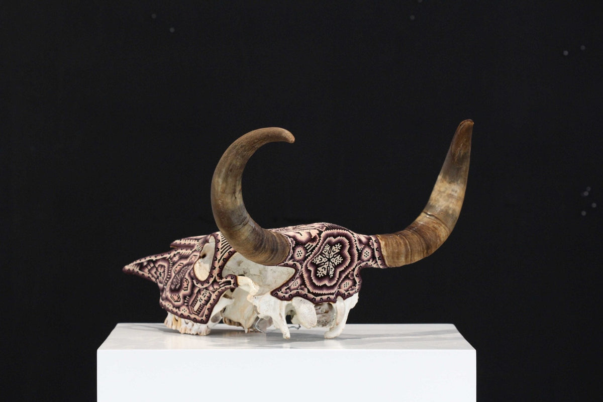 Cráneo de vaca Arte Huichol - Tatei Matinieri III - Arte Huichol - Marakame
