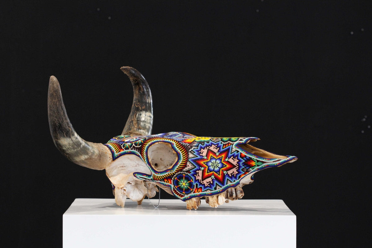 Cráneo de vaca Arte Huichol - Tatei Matinieri V - Arte Huichol - Marakame