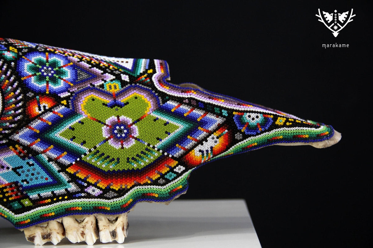 Cráneo de vaca Arte Huichol - Tatsíu - Arte Huichol - Marakame