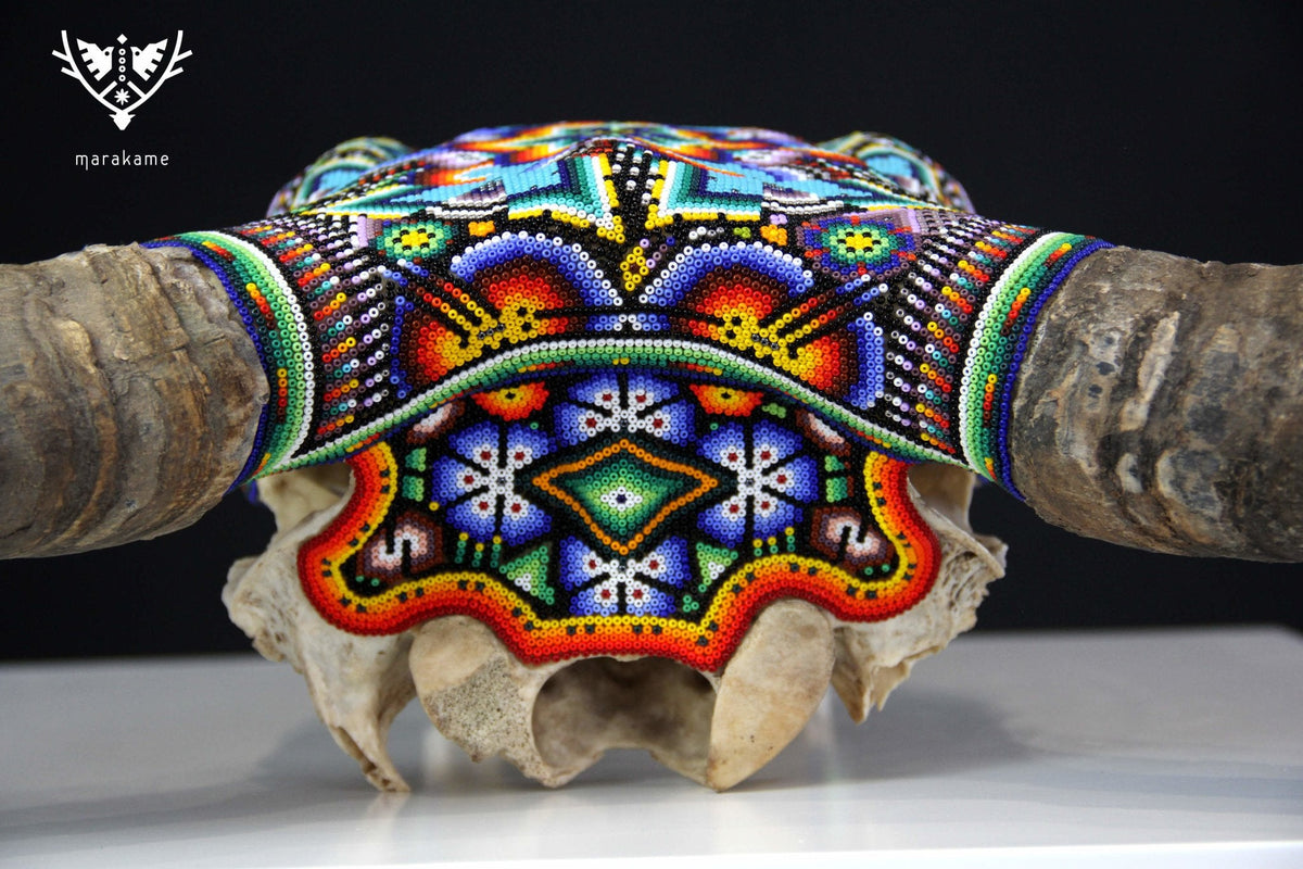 Cráneo de vaca Arte Huichol - Tatsíu - Arte Huichol - Marakame