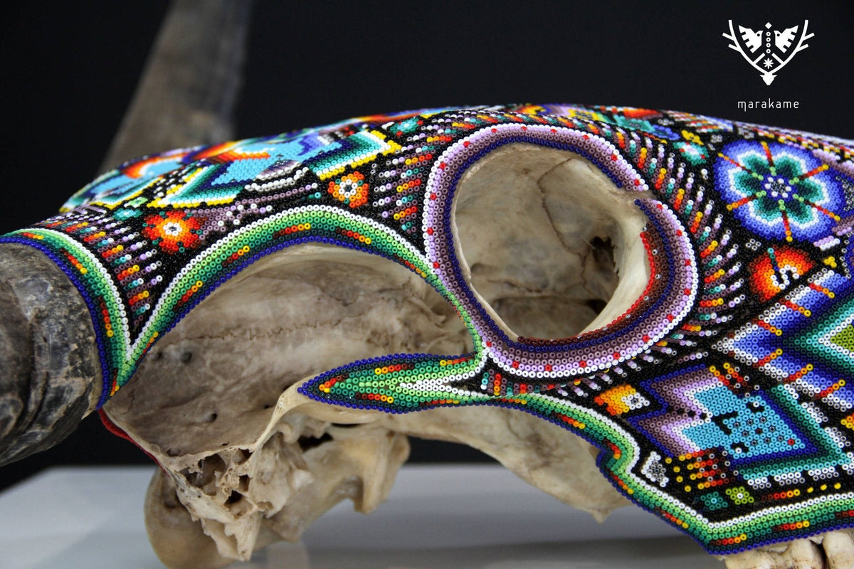 Cráneo de vaca Arte Huichol - Tatsíu - Arte Huichol - Marakame