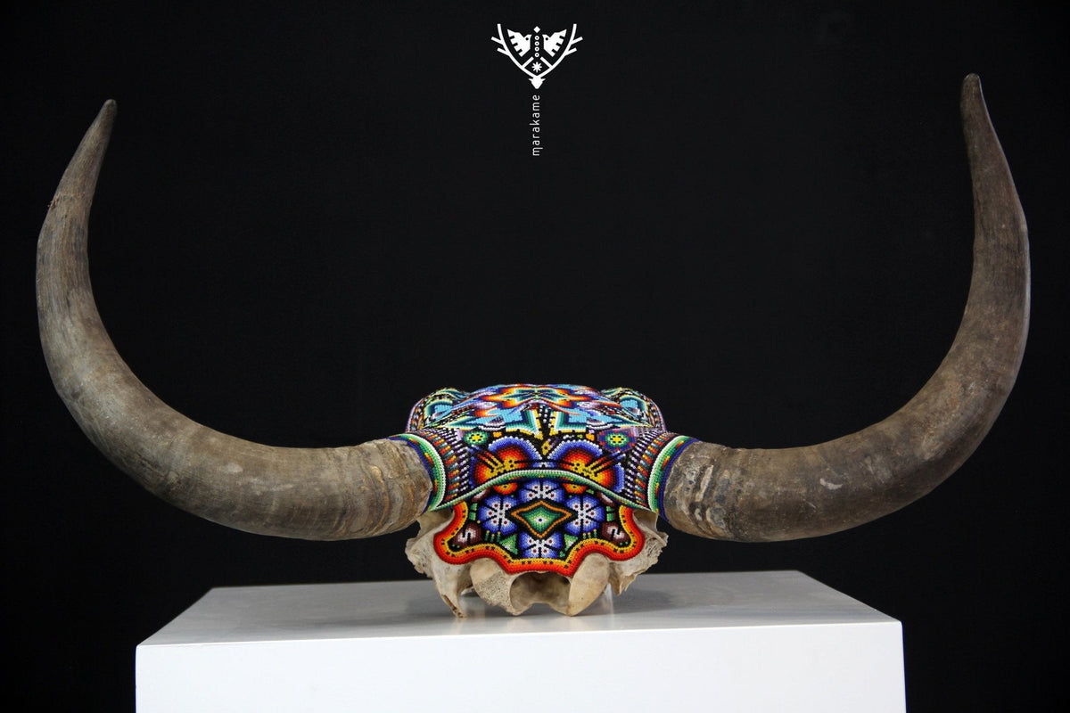 Cráneo de vaca Arte Huichol - Tatsíu - Arte Huichol - Marakame