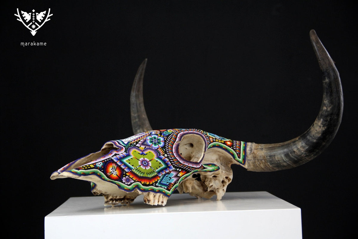 Cráneo de vaca Arte Huichol - Tatsíu - Arte Huichol - Marakame