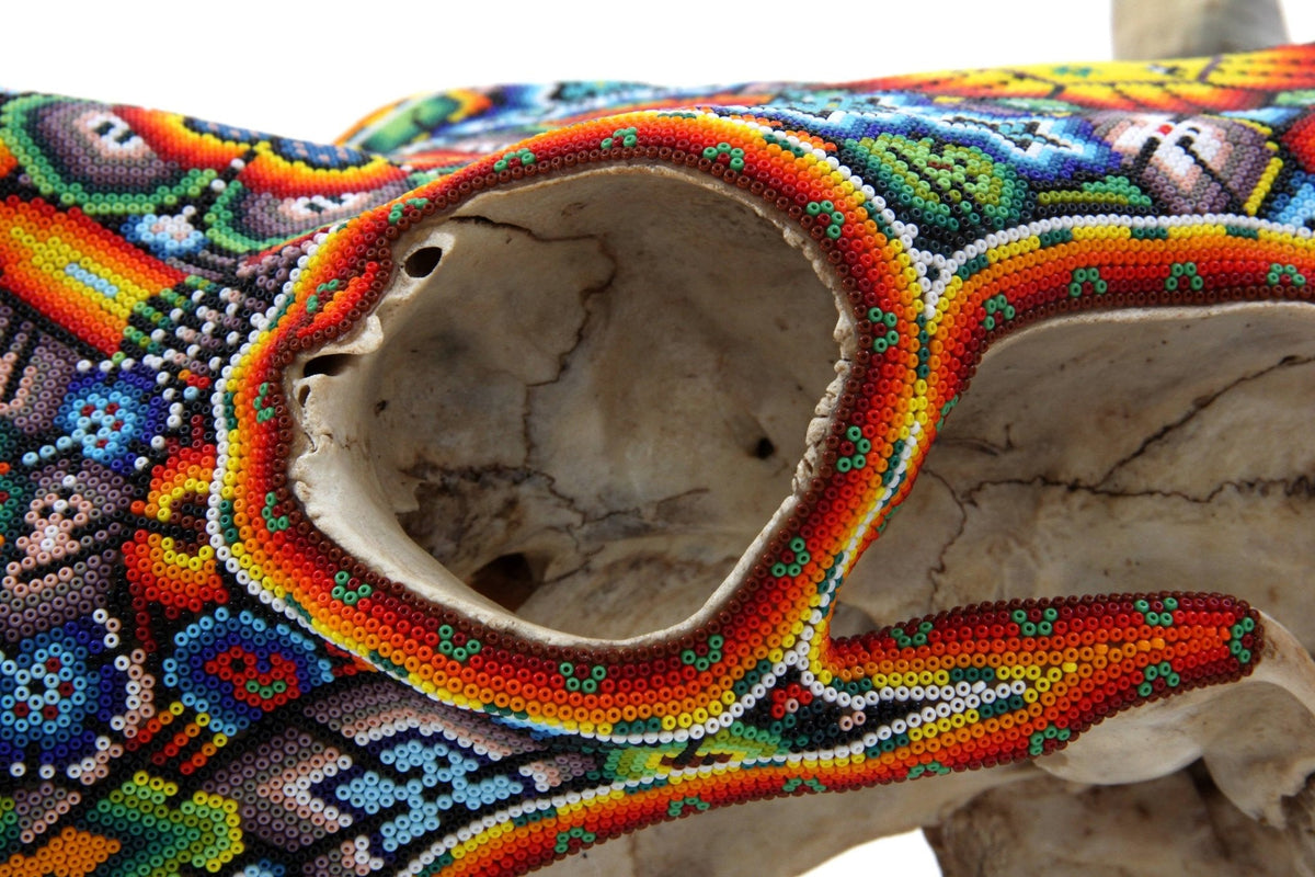 Cráneo de vaca Arte Huichol - Tau - Arte Huichol - Marakame