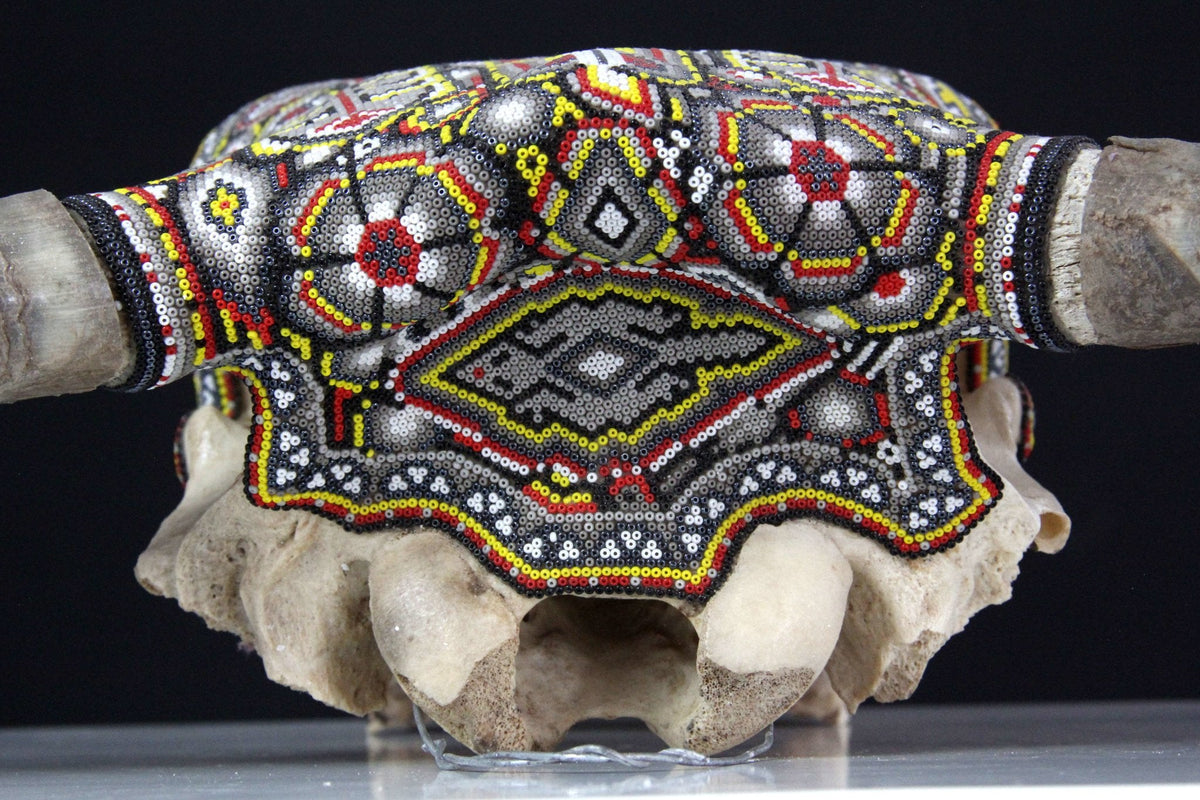 Cráneo de vaca Arte Huichol - Tura hirie VI - Arte Huichol - Marakame
