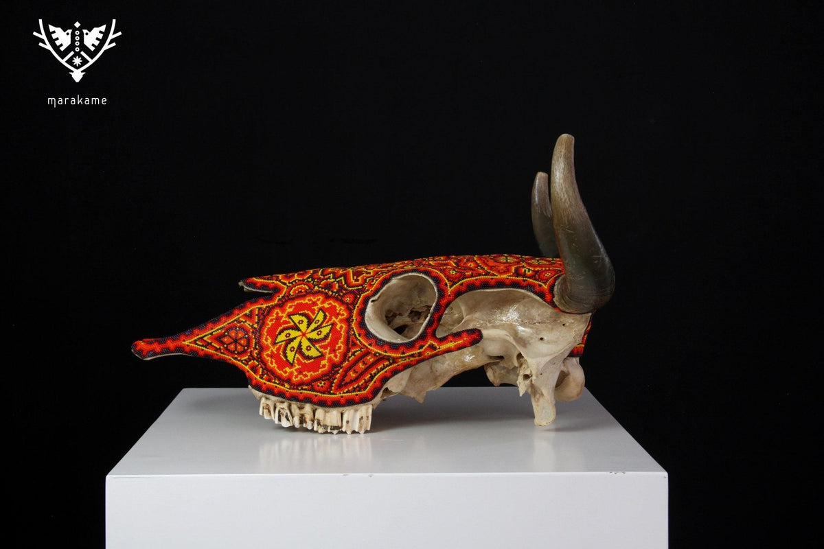 Cráneo de vaca Arte Huichol - Tuutú I - Arte Huichol - Marakame
