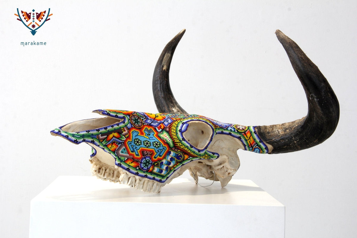 Cráneo de vaca Arte Huichol - Tuutú Iyari - Arte Huichol - Marakame