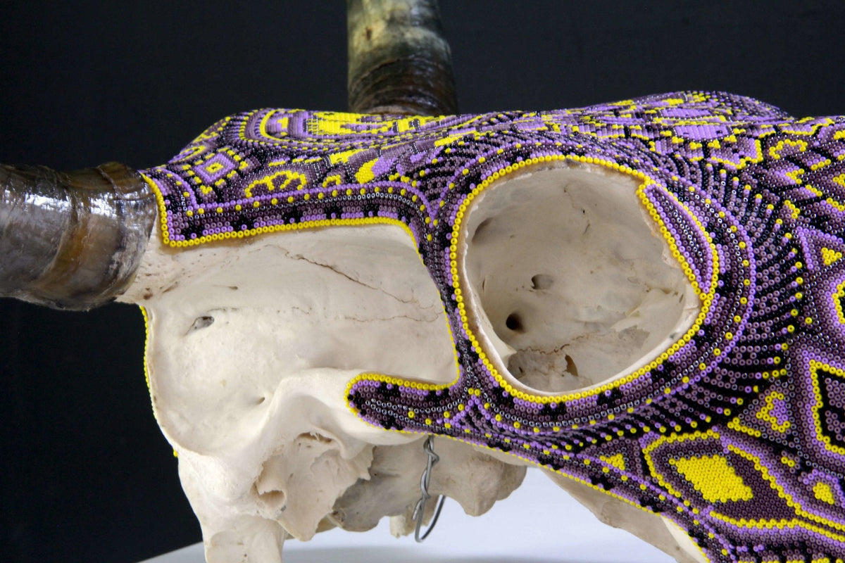 Cráneo de vaca Arte Huichol - Werika amarilla - Arte Huichol - Marakame