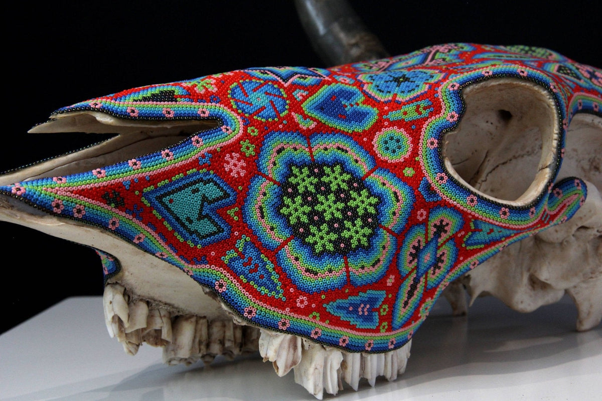 Craneo de vaca Arte Huichol - Wexik+a nierikaya - Arte Huichol - Marakame