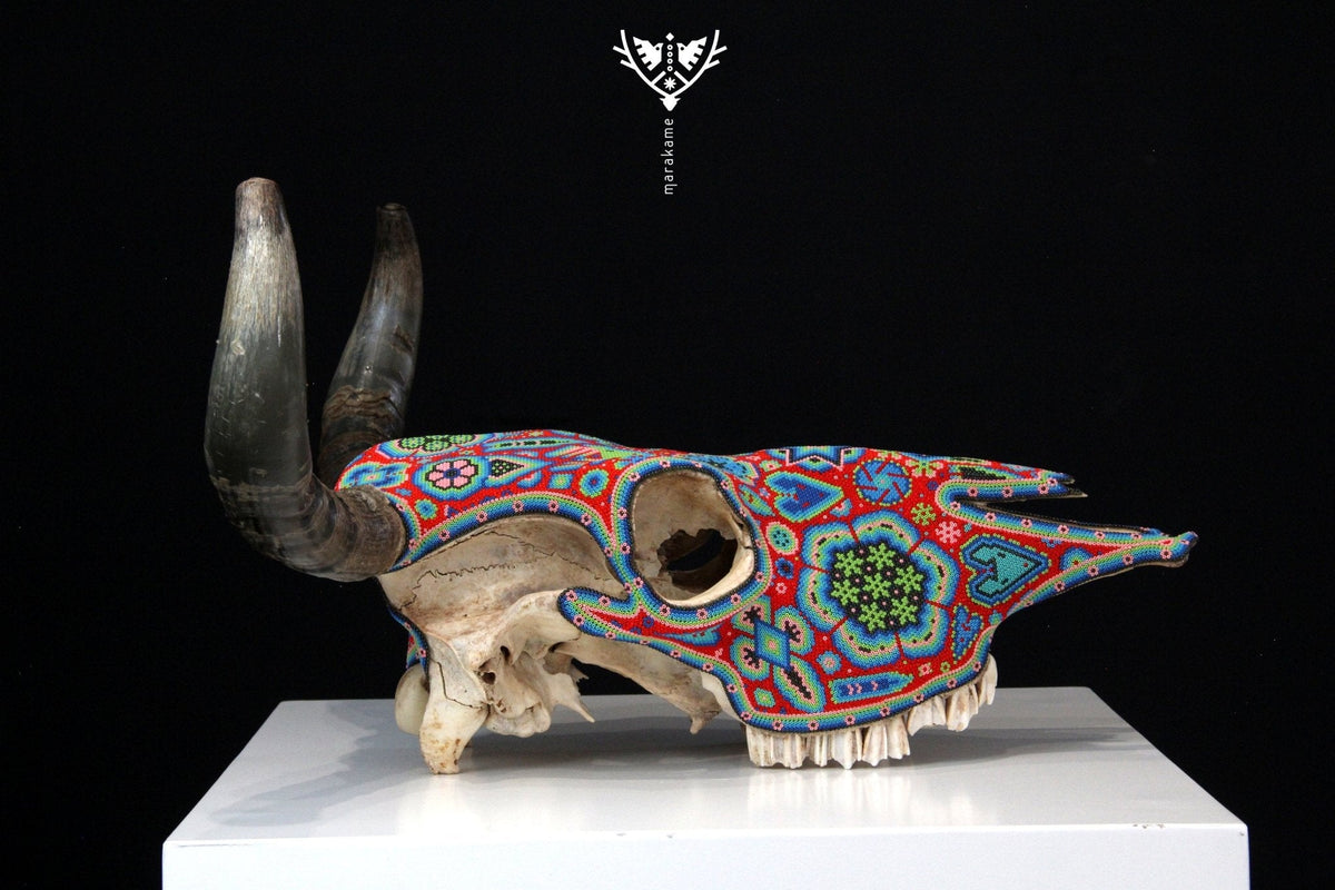 Craneo de vaca Arte Huichol - Wexik+a nierikaya - Arte Huichol - Marakame