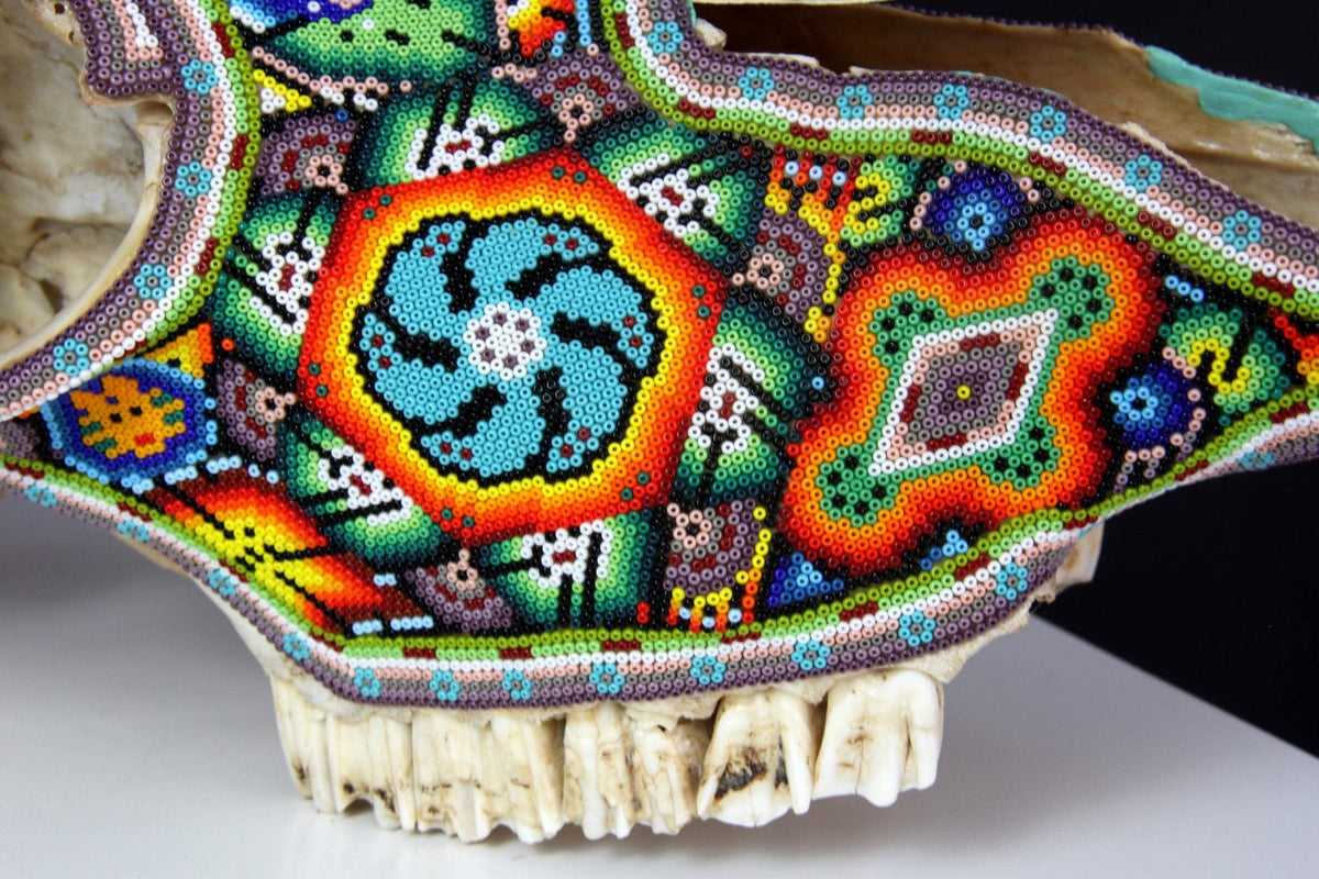 Cráneo de vaca Arte Huichol - Wexikia - Arte Huichol - Marakame