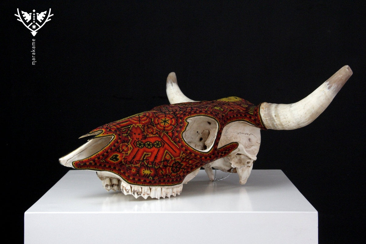 Cráneo de vaca Arte Huichol - Wexikia - Arte Huichol - Marakame