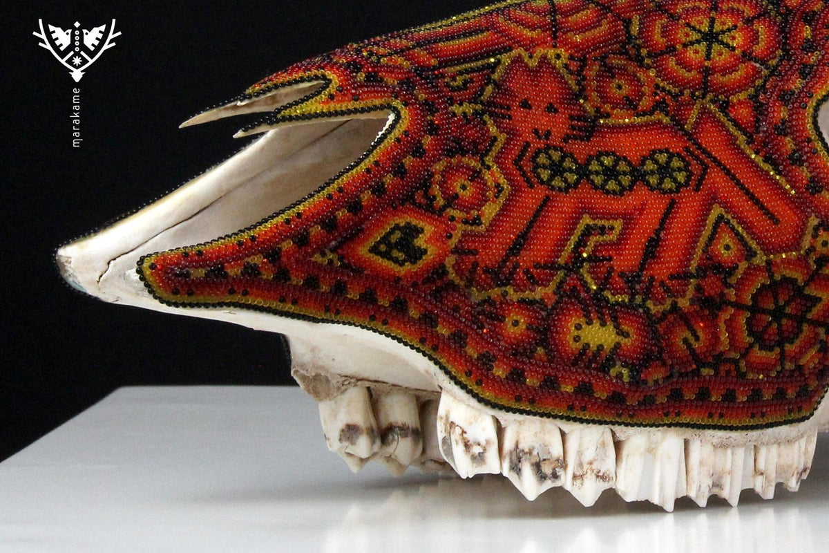 Cráneo de vaca Arte Huichol - Wexikia - Arte Huichol - Marakame