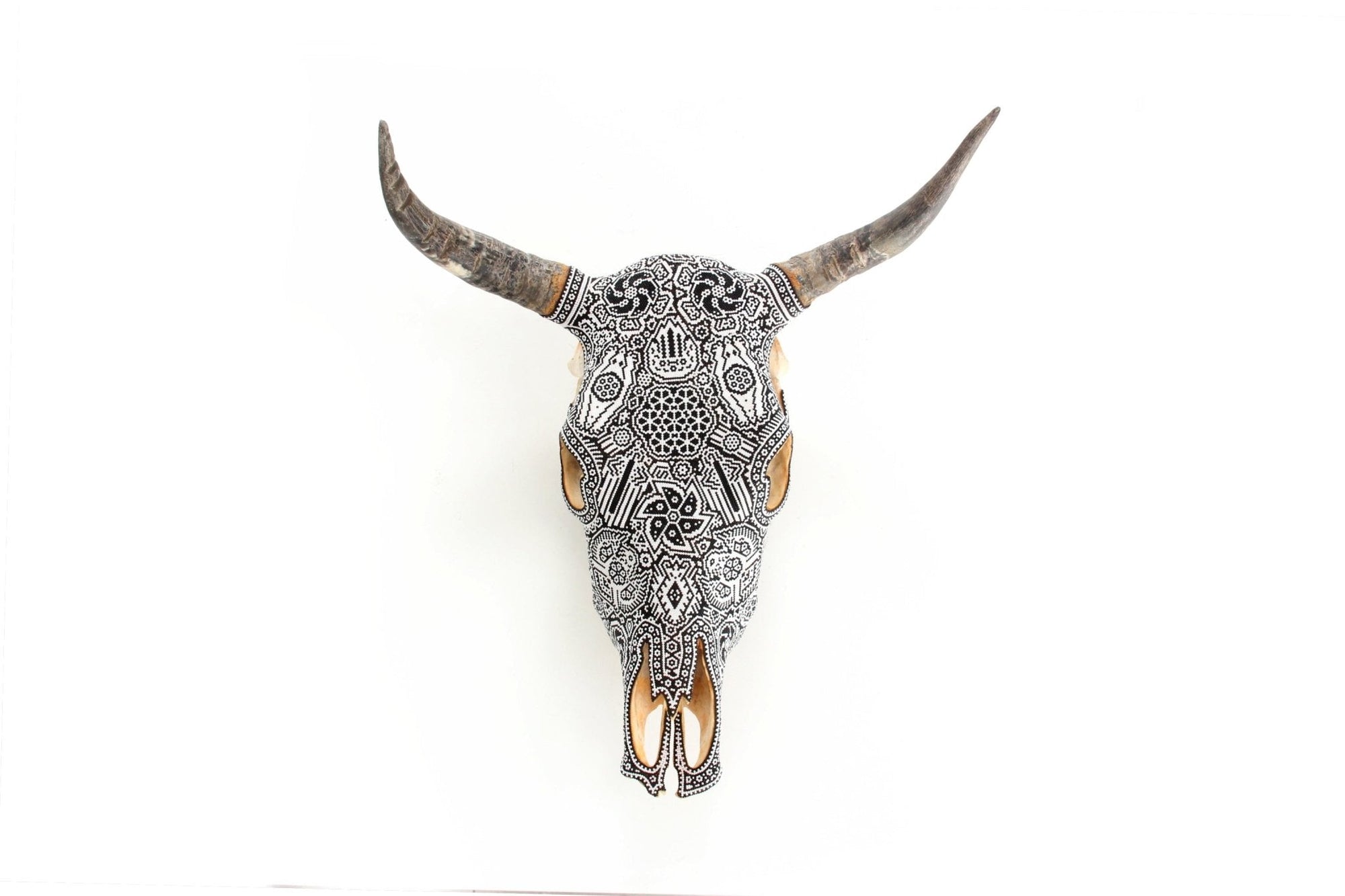 Cráneo de vaca Arte Huichol - Xikiri I - Arte Huichol - Marakame