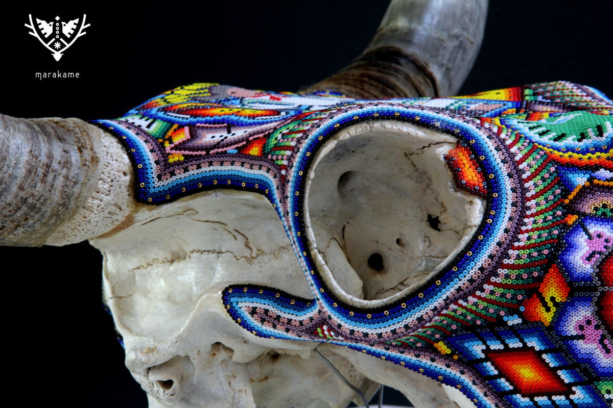 Cráneo de vaca Arte Huichol - xupurero grande - Arte Huichol - Marakame