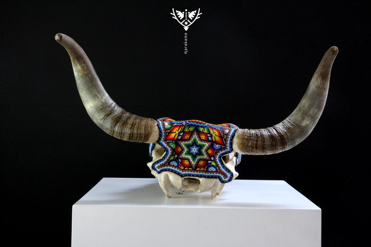 Cráneo de vaca Arte Huichol - xupurero grande - Arte Huichol - Marakame