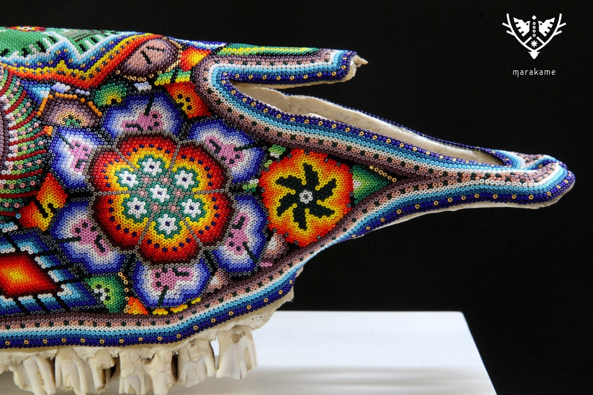 Cráneo de vaca Arte Huichol - xupurero grande - Arte Huichol - Marakame