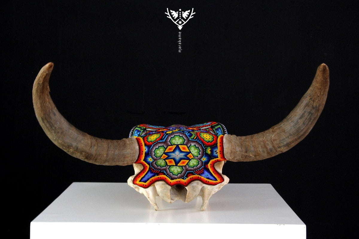 Cráneo de vaca Arte Huichol - Xurawe - Arte Huichol - Marakame