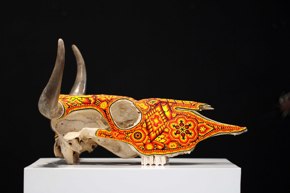Cráneo de vaca Arte Huichol - Xurawe III - Arte Huichol - Marakame