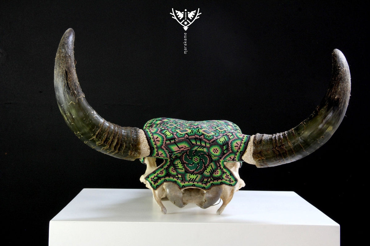 Cráneo de vaca Arte Huichol - xurawe tuutú - Arte Huichol - Marakame