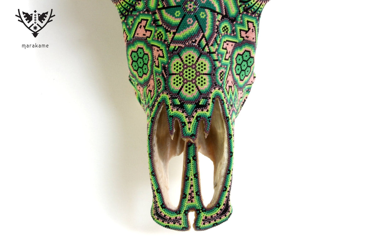 Cráneo de vaca Arte Huichol - xurawe tuutú - Arte Huichol - Marakame
