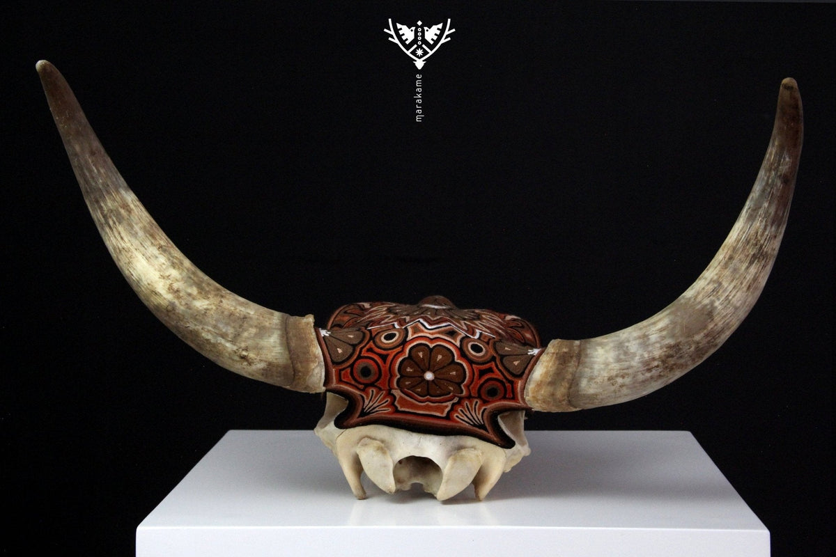 Cráneo de vaca Estambre Huichol - Maxa kuaxi - Arte Huichol - Marakame