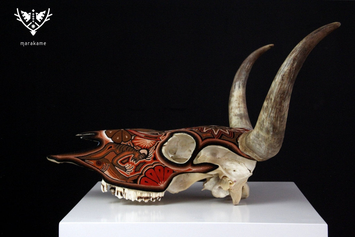 Cráneo de vaca Estambre Huichol - Maxa kuaxi - Arte Huichol - Marakame