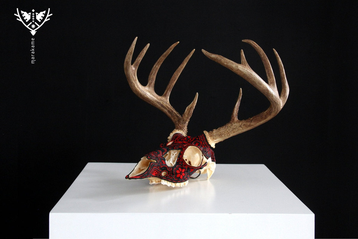 Cráneo de Venado Arte Huichol - Tura hirie - Arte Huichol - Marakame
