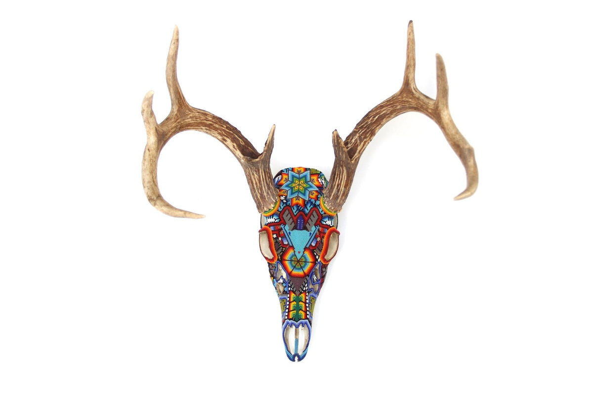 Cráneo de Venado Huichol - Xamainuri - Arte Huichol - Marakame